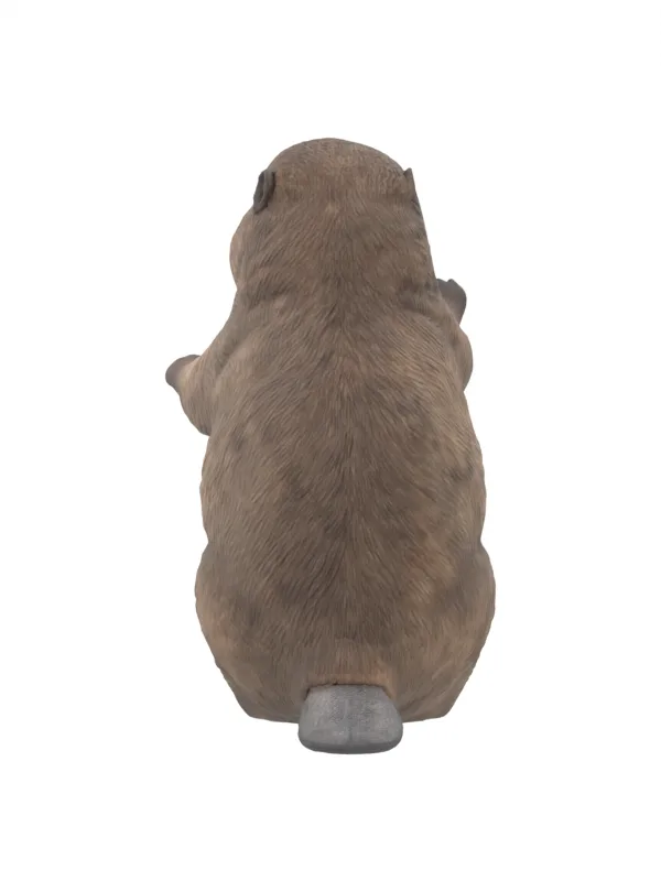 Beaver reconstruction at 180 degrees